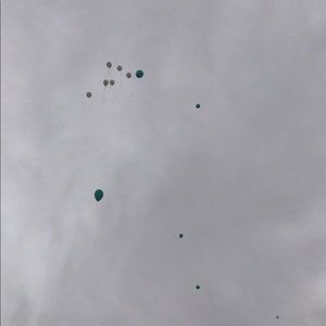 Meet your Posher, Dorian